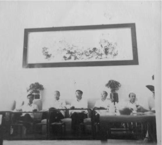 杨2.jpg